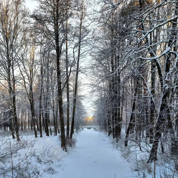 du lịch Nga mùa đông