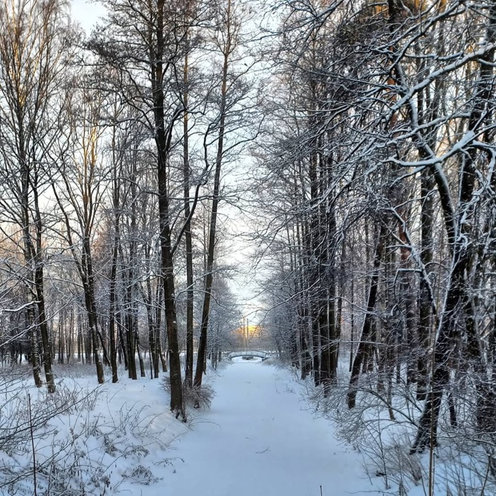 Khám phá thời điểm mùa đông diễn ra tại xứ sở bạch dương. Nguồn: roki_amulet_for_good_luck