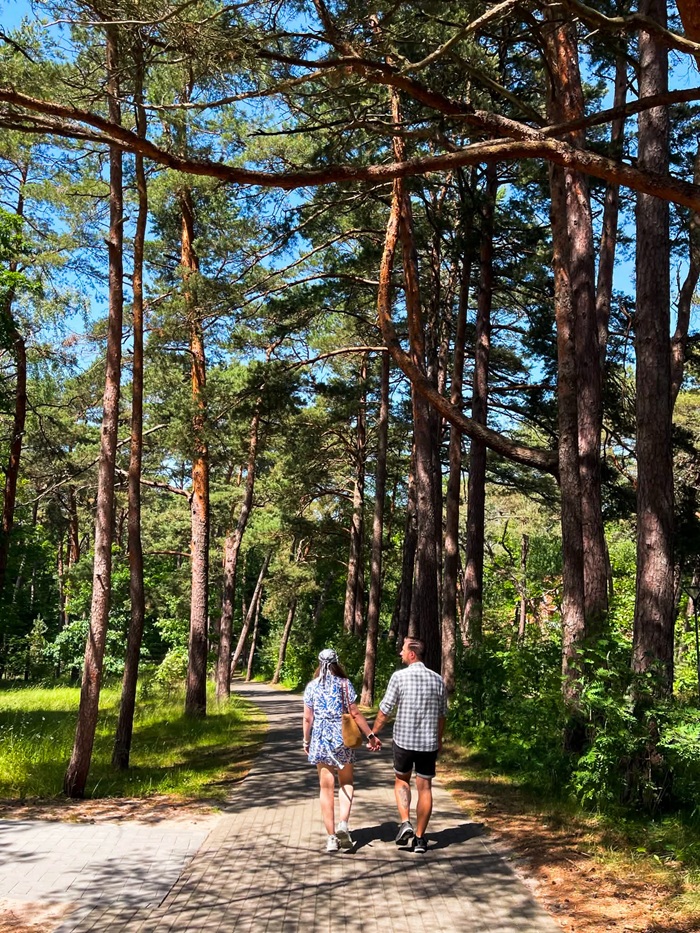 Ghé thăm Vườn quốc gia Curonian Spit, Di sản Thế giới UNESCO. Nguồn: katelovingkaliningrad