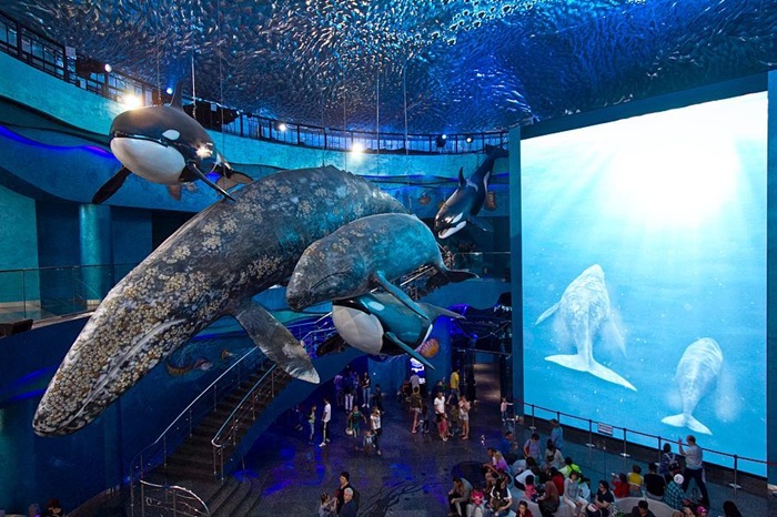 Thủy cung Primorsky Aquarium điểm đến hấp dẫn cho mọi lứa tuổi. Nguồn: iryota_gram
